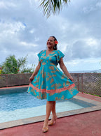 RAINA Model