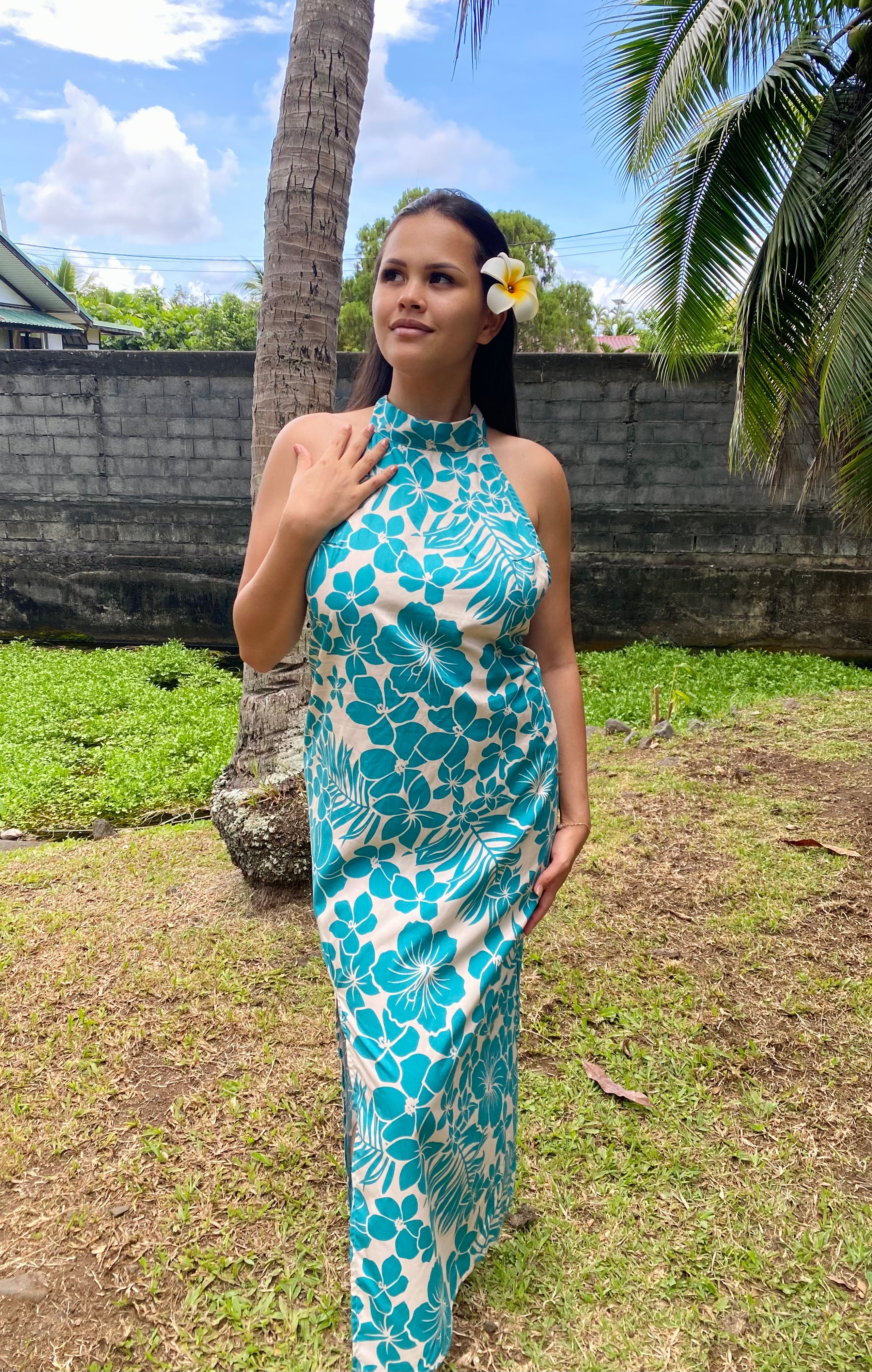 HANATEA Model