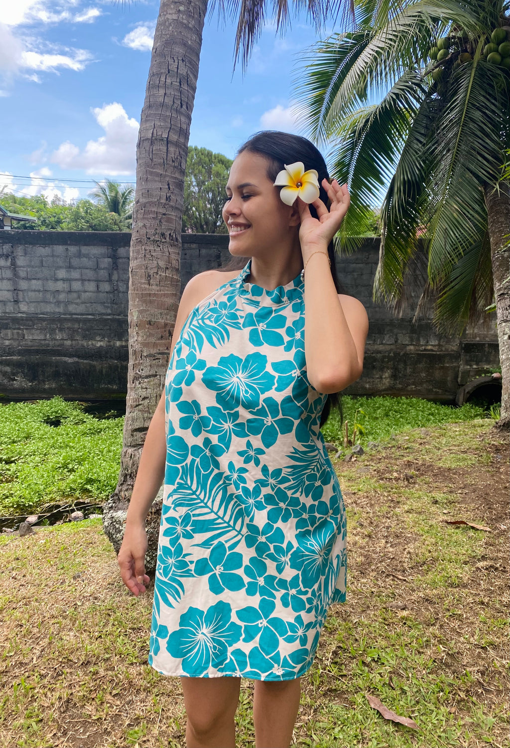 Modèle HANATEA