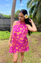 Modèle HANATEA