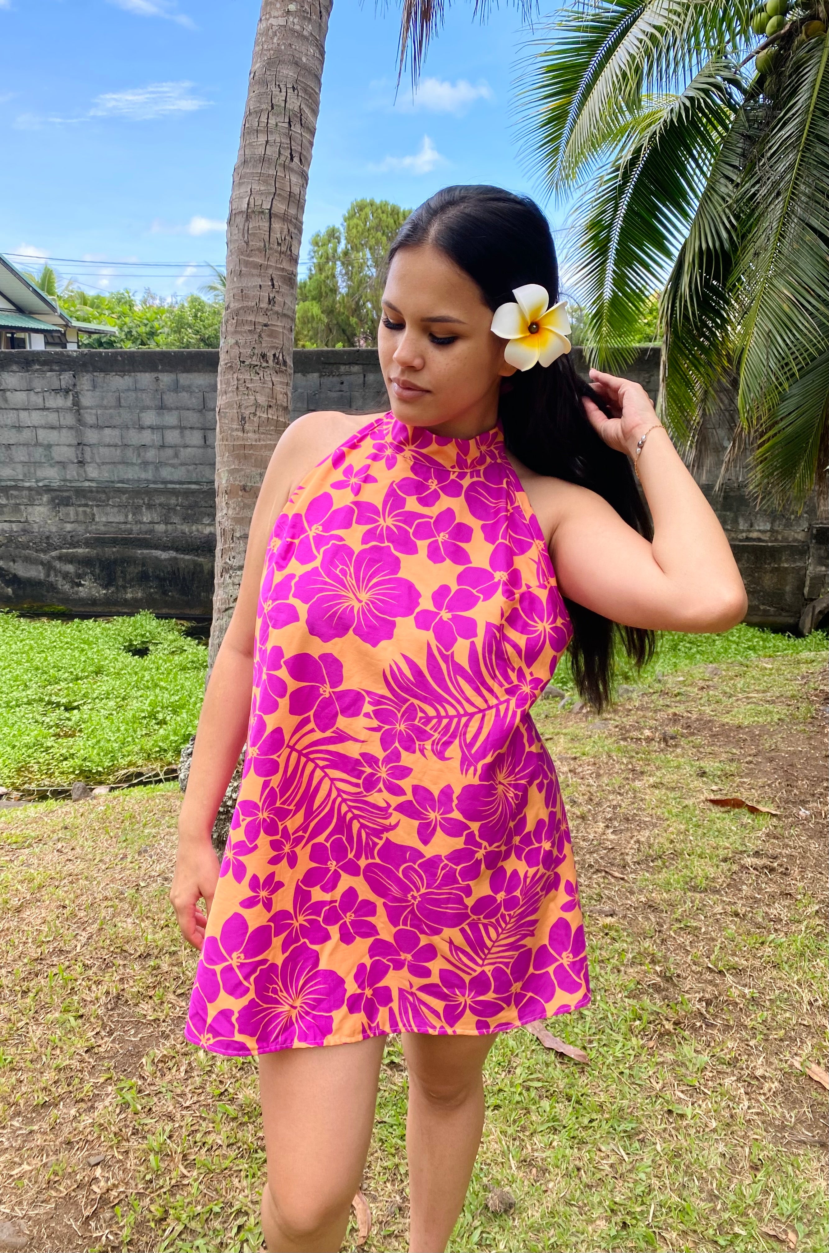 HANATEA Model