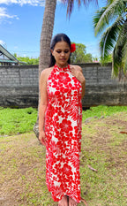 Modèle HANATEA