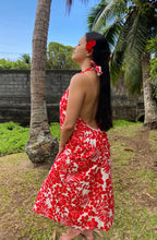 Modèle HANATEA