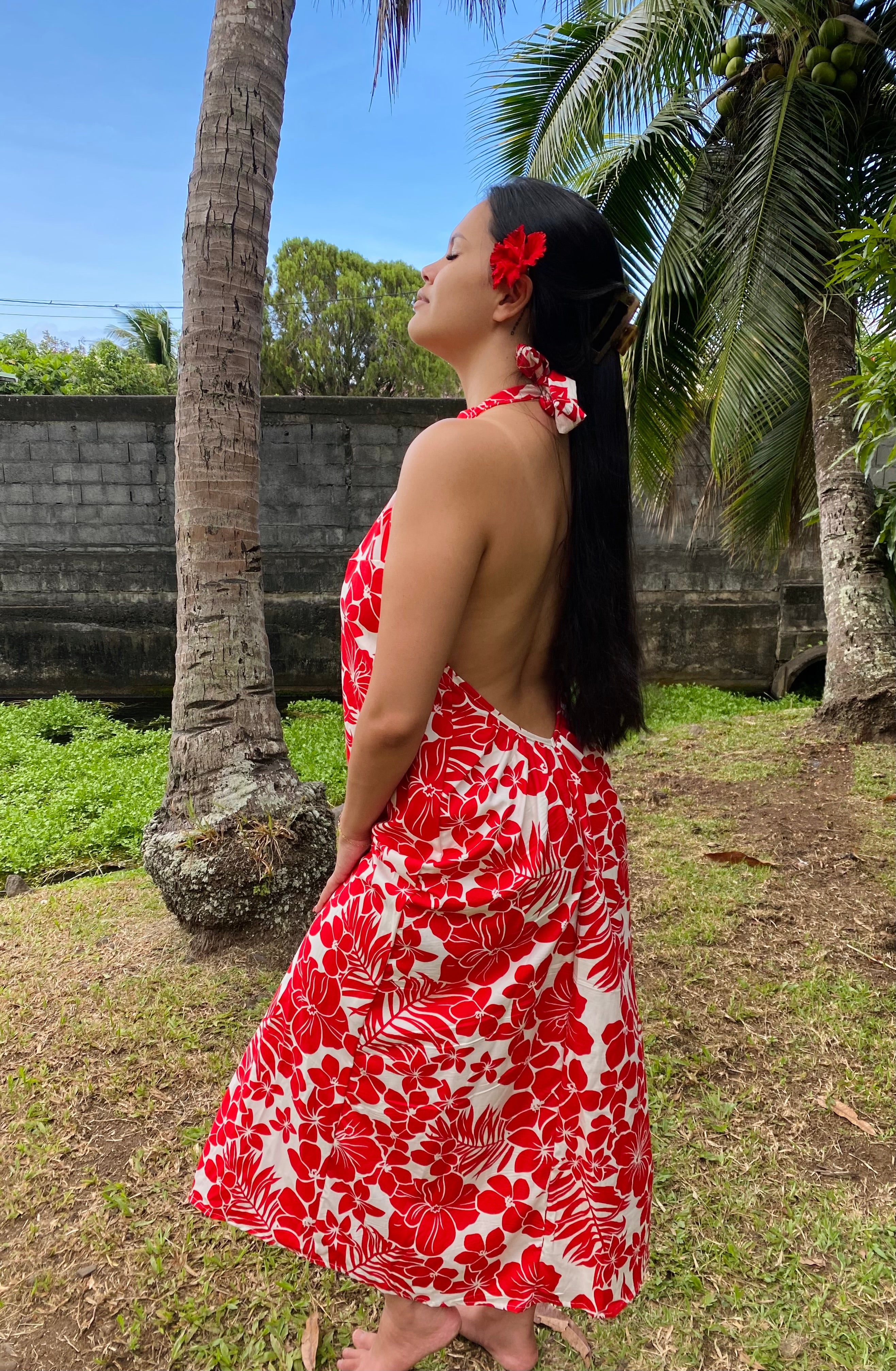 HANATEA Model